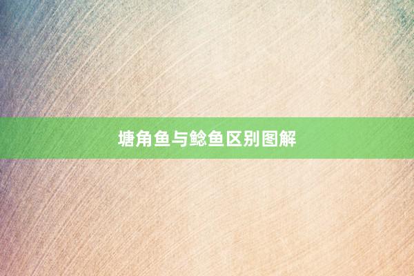 塘角鱼与鲶鱼区别图解