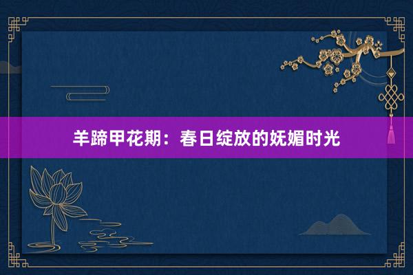 羊蹄甲花期：春日绽放的妩媚时光