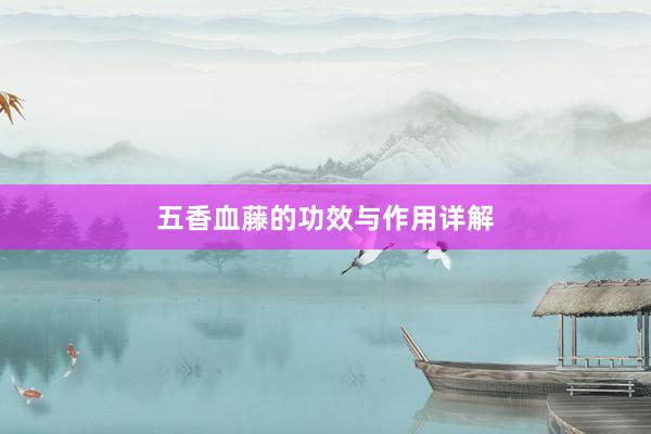 五香血藤的功效与作用详解
